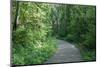 Marthaler Park Walkway-jrferrermn-Mounted Photographic Print