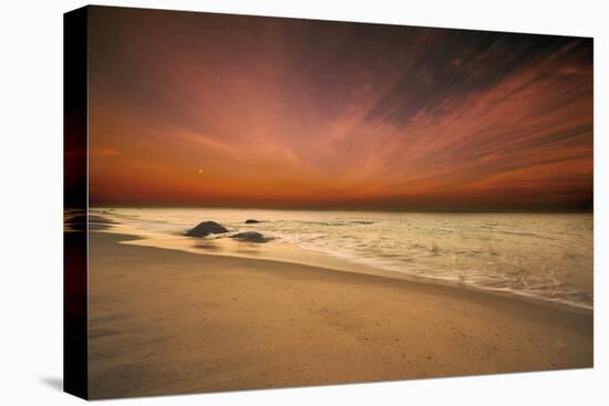 Marthas Vineyard Beach III-Aledanda-Stretched Canvas