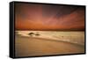 Marthas Vineyard Beach III-Aledanda-Framed Stretched Canvas