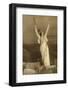 Marthe Chenal Photo-null-Framed Photographic Print