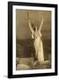 Marthe Chenal Photo-null-Framed Photographic Print