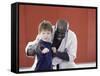 Martial Arts Instruction-null-Framed Stretched Canvas