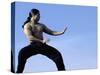 Martial Arts Posture-null-Stretched Canvas