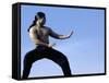 Martial Arts Posture-null-Framed Stretched Canvas