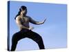 Martial Arts Posture-null-Stretched Canvas