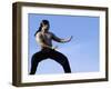 Martial Arts Posture-null-Framed Photographic Print