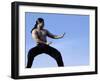 Martial Arts Posture-null-Framed Photographic Print