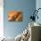 Martian Colony, Artwork-Richard Bizley-Stretched Canvas displayed on a wall