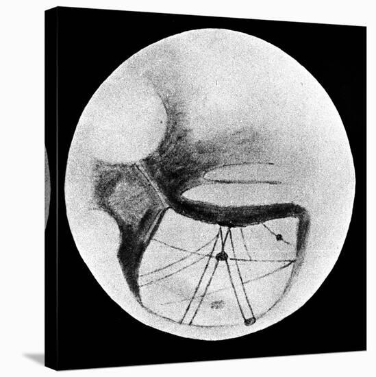 Martian Double 'Canals' 'Phison' and 'Euphrates' as Observed on 18 November 1894-null-Stretched Canvas