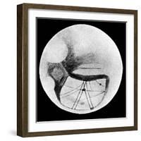 Martian Double 'Canals' 'Phison' and 'Euphrates' as Observed on 18 November 1894-null-Framed Giclee Print