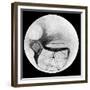 Martian Double 'Canals' 'Phison' and 'Euphrates' as Observed on 18 November 1894-null-Framed Giclee Print