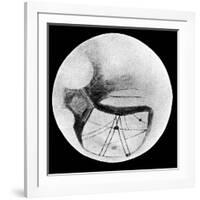 Martian Double 'Canals' 'Phison' and 'Euphrates' as Observed on 18 November 1894-null-Framed Giclee Print