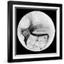 Martian Double 'Canals' 'Phison' and 'Euphrates' as Observed on 18 November 1894-null-Framed Giclee Print