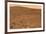 Martian Landscape, Spirit Rover Image-Jpl-caltech-Framed Photographic Print