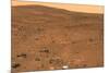 Martian Landscape, Spirit Rover Image-Jpl-caltech-Mounted Photographic Print