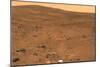 Martian Landscape, Spirit Rover Image-Jpl-caltech-Mounted Photographic Print