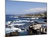 Martianez Lido, Puerto De La Cruz, Tenerife, Canary Islands, Spain, Atlantic, Europe-Jeremy Lightfoot-Mounted Photographic Print