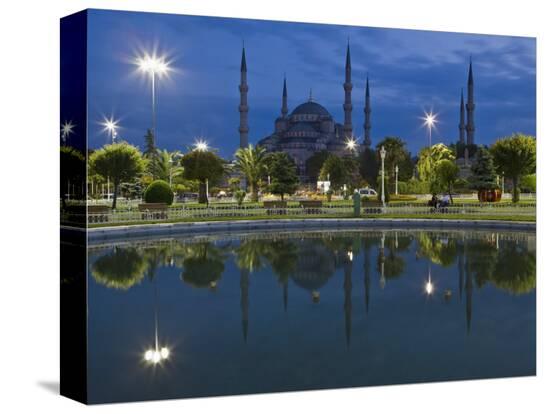 Stretched Canvas Print, , large