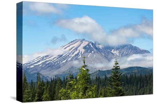 Stretched Canvas Print, , large