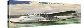 Martin China Clipper-null-Stretched Canvas