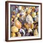 Brown Frame