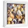 White Frame