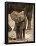 Essential Black