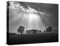 Stretched Canvas