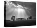 Stretched Canvas