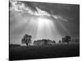Stretched Canvas