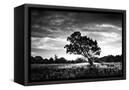 Canvas Black