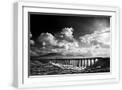 White Frame
