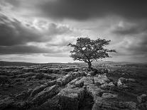 Rolls of Hay-Martin Henson-Photographic Print