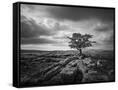 Canvas Black