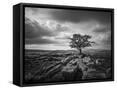 Canvas Black