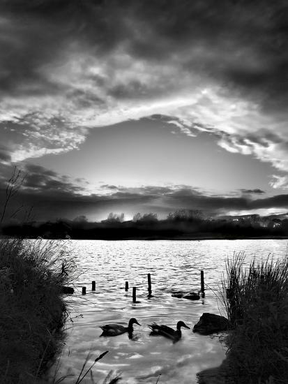 Premium Photographic Print, , large
