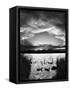 Canvas Black