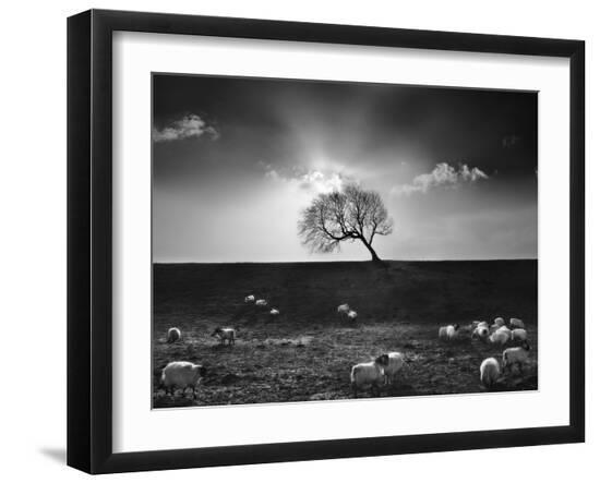 Premium Photographic Print, , large