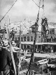 The Shipping of Mules, Syros Island, Greece, 1937-Martin Hurlimann-Giclee Print