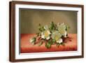 Brown Frame