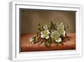 White Frame