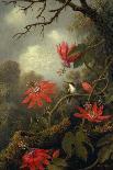 Rio De Janeiro, Brazil, C.1865 (Oil on Board)-Martin Johnson Heade-Giclee Print