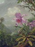 Giant Magnolias on Blue Cloth-Martin Johnson Heade-Framed Giclee Print