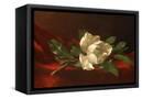 Canvas Black