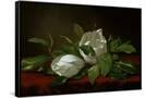 Canvas Black