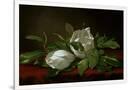 Gramercy White