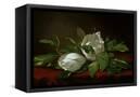 Canvas Black