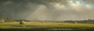 Sunlight and Shadow: The Newbury Marshes, c. 1871/1875-Martin Johnson Heade-Art Print