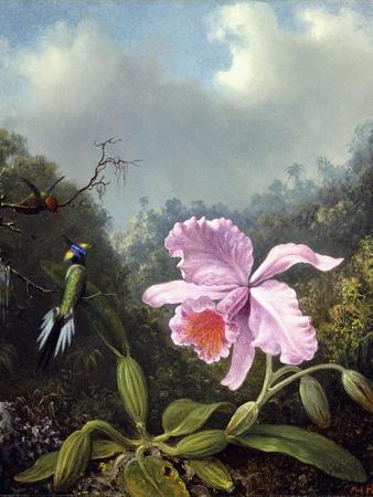 Still Life with Orchid and Pair of Hummingbirds, C.1890S