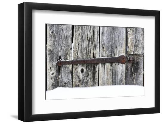 Premium Photographic Print, , large
